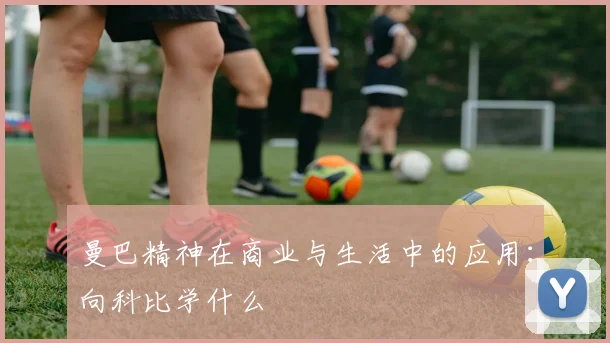 曼巴精神在商业与生活中的应用：向科比学什么