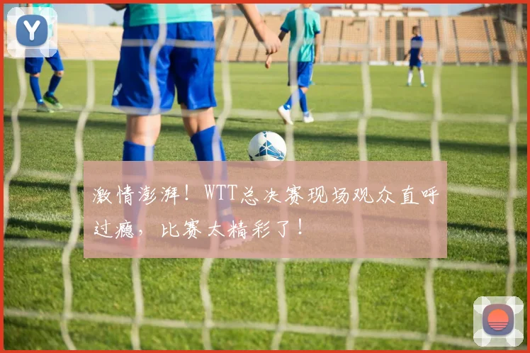 激情澎湃!WTT总决赛现场观众直呼过瘾,比赛太精彩了!