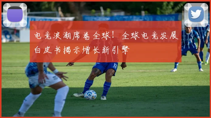 电竞浪潮席卷全球！全球电竞发展白皮书揭示增长新引擎