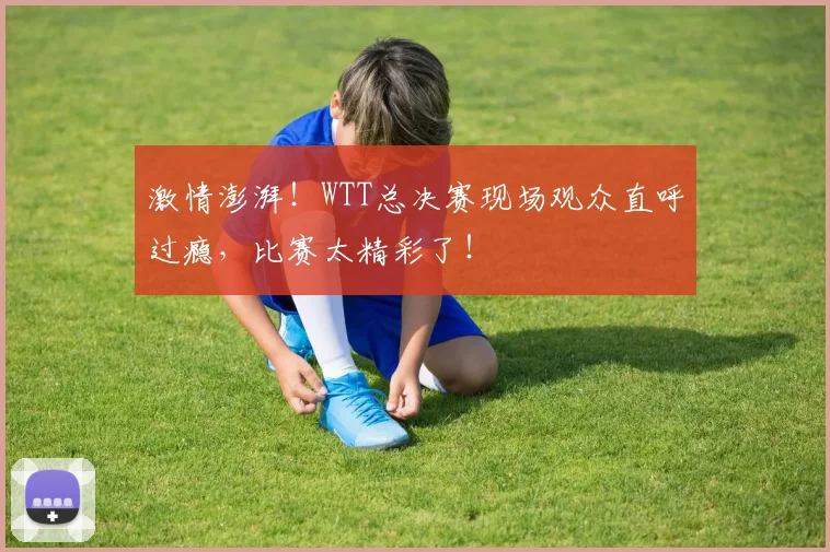 激情澎湃!WTT总决赛现场观众直呼过瘾,比赛太精彩了!